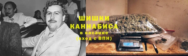 apvp Няндома