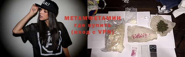 сатива Осташков