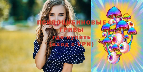 apvp Няндома