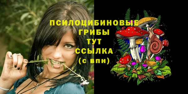 ешки Нягань