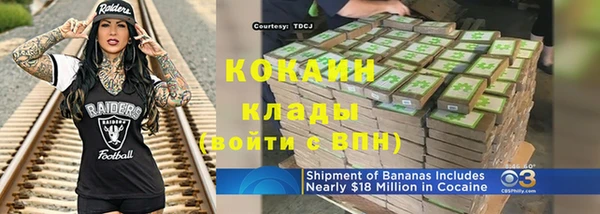 ГАЛЛЮЦИНОГЕННЫЕ ГРИБЫ Вязьма