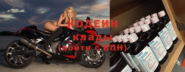 сатива Осташков