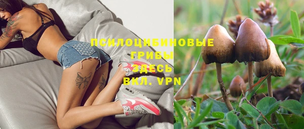 хмурый Щигры